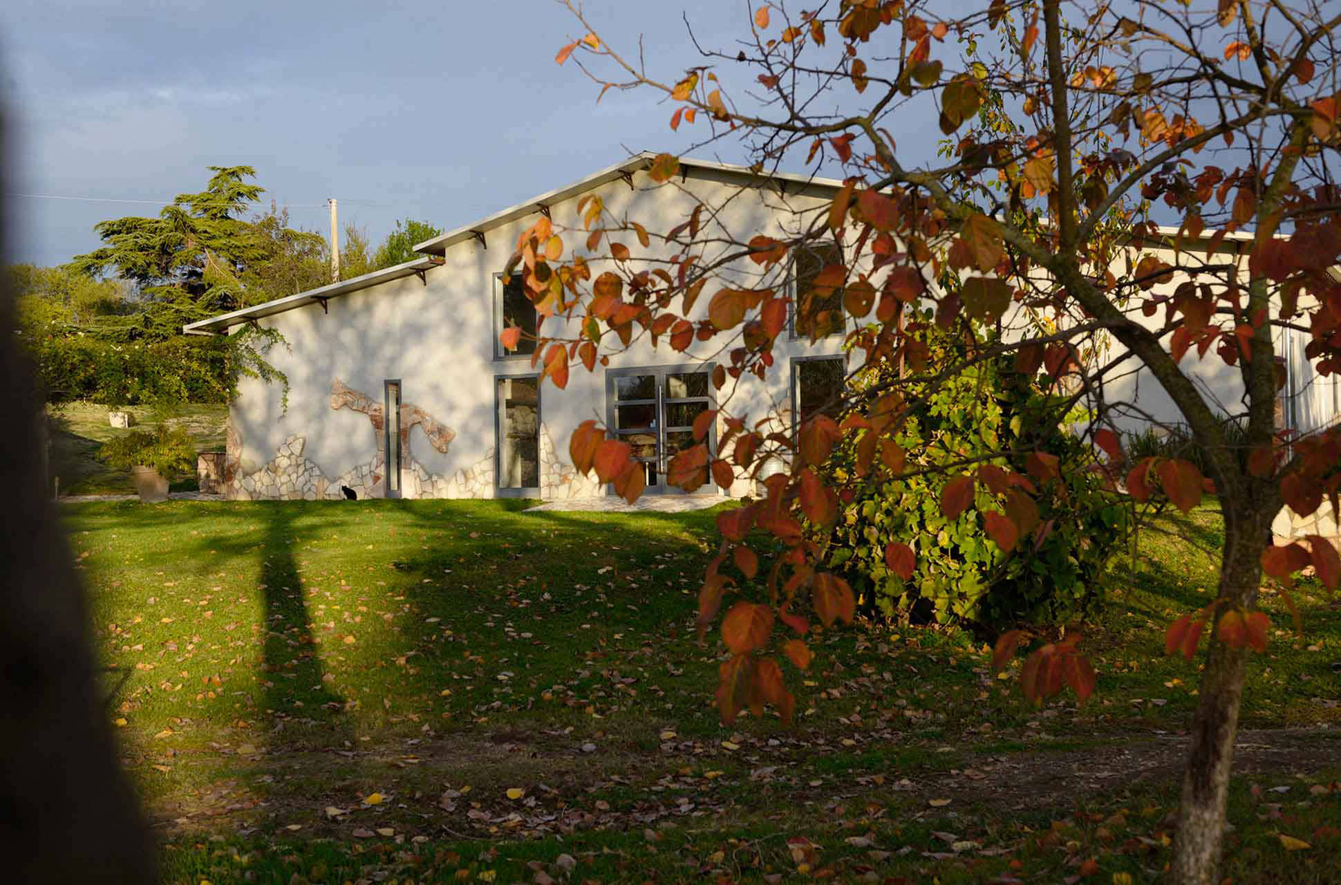 autumn-light-falling-leaves-tuscania