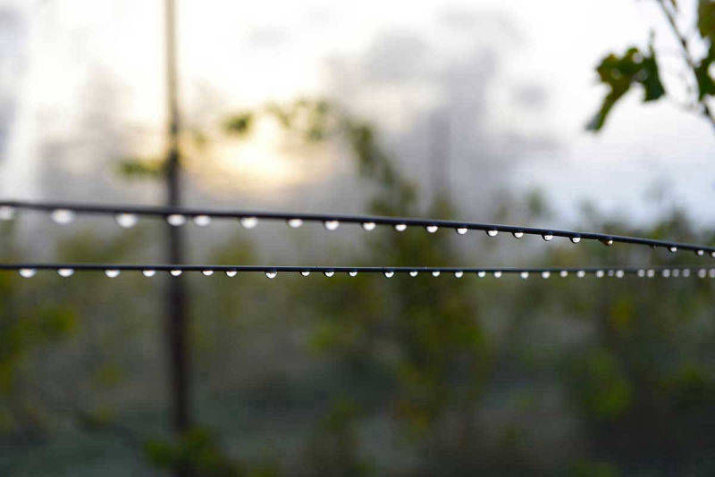 morning-light