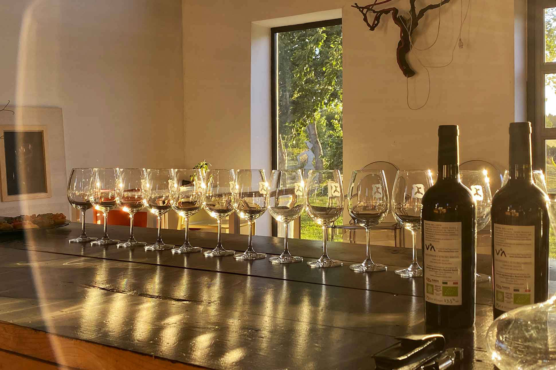 vini-premiati-in-degustazione