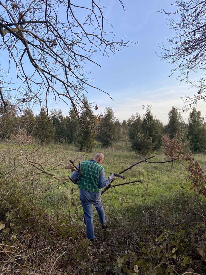 nel-bosco-manutenzione-tuscania
